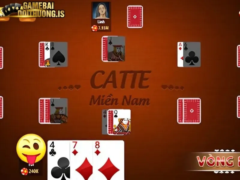 4 vòng cược đầu tiên của Catte