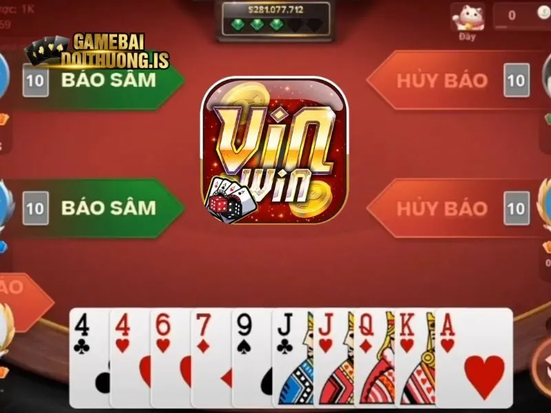 Báo sâm trong VIN không hề khó