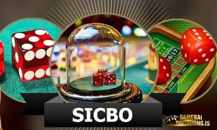 Sicbo Mayclub hay còn được biết đến với tên gọi Tài Xỉu