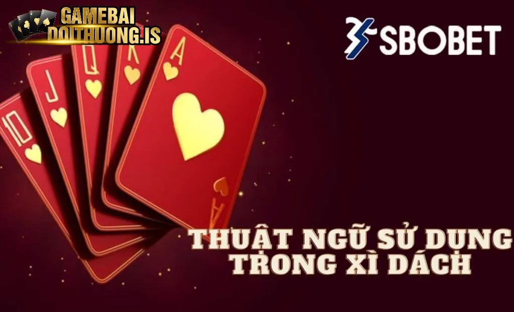 Thuật ngữ cần biết khi chơi xì dách online