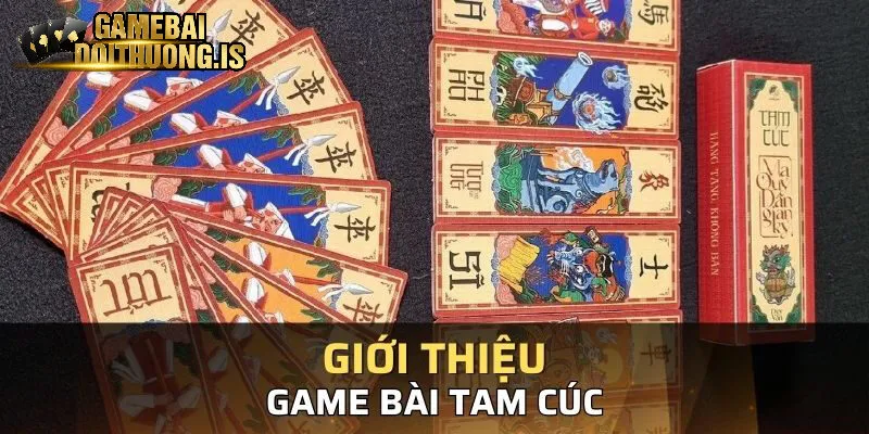 Tam Cúc Macau