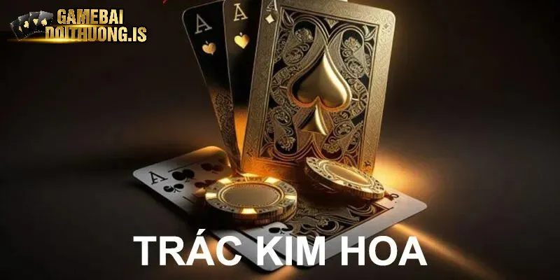 Trác kim hoa manclub